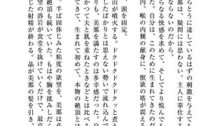 【エロ同人】聖晶希石エスフェール〜真珠の章外伝〜matrix〜のトップ画像