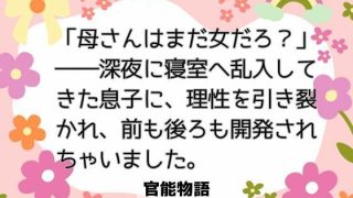 【エロ同人】「母さんはまだ女だろ？」――深夜に寝室へ乱入してきた息子に、理性を引き裂か…のトップ画像