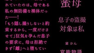 【エロ同人】蜜母 〜息子の盗撮対象は私〜のトップ画像