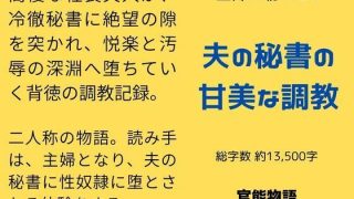 【エロ同人】主婦の秘めごと 〜夫の秘書の甘美な調教〜のトップ画像
