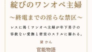【エロ同人】綻びのワンオペ主婦  〜終電までの淫らな禁区〜のトップ画像