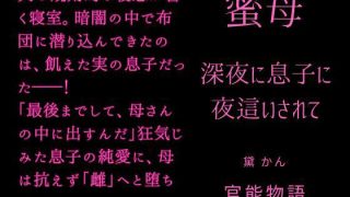 【エロ同人】蜜母 〜深夜に息子に夜●いされて〜のトップ画像